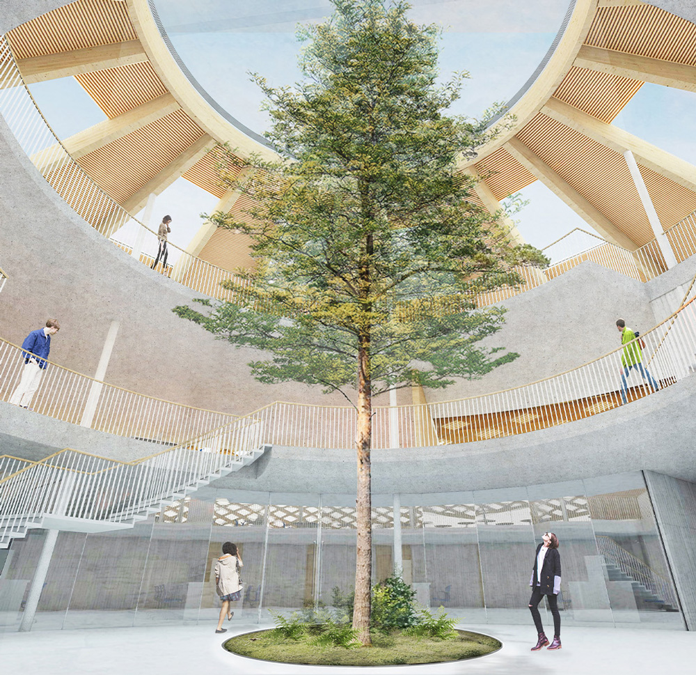 The central atrium, lit from above by natural daylight, connects all three levels of the building and is planted with a tree..